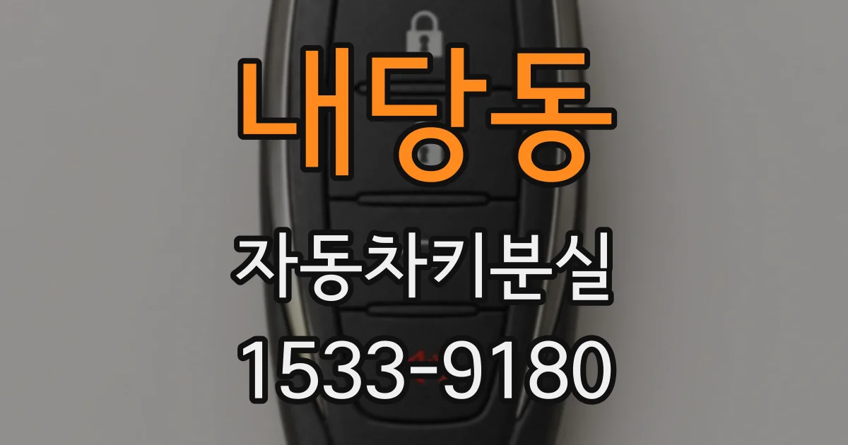 내당동 자동차키분실