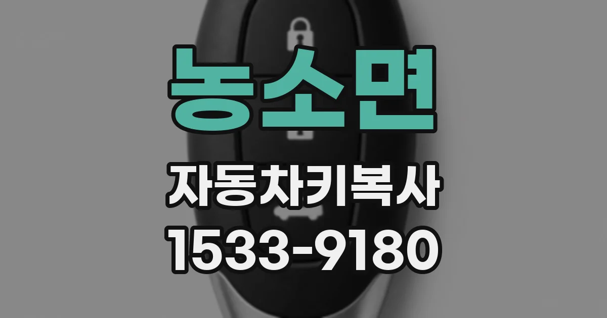 농소면 자동차키복사