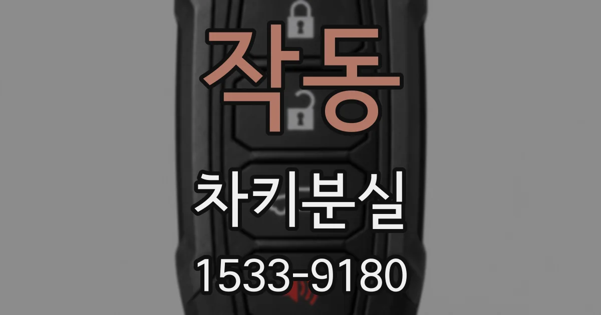 작동 차키분실