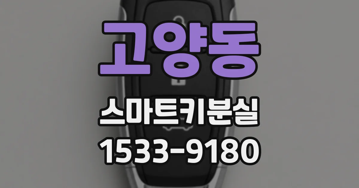 고양동 스마트키분실