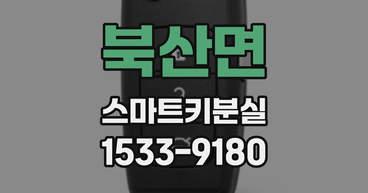 북산면 스마트키분실