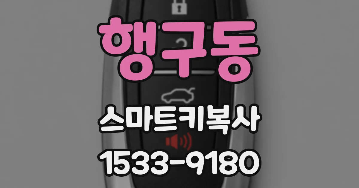 행구동 스마트키복사