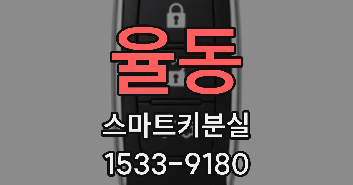 율동 스마트키분실