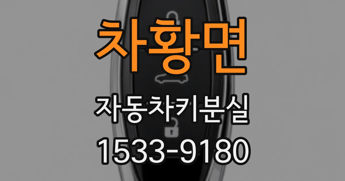 차황면 자동차키분실