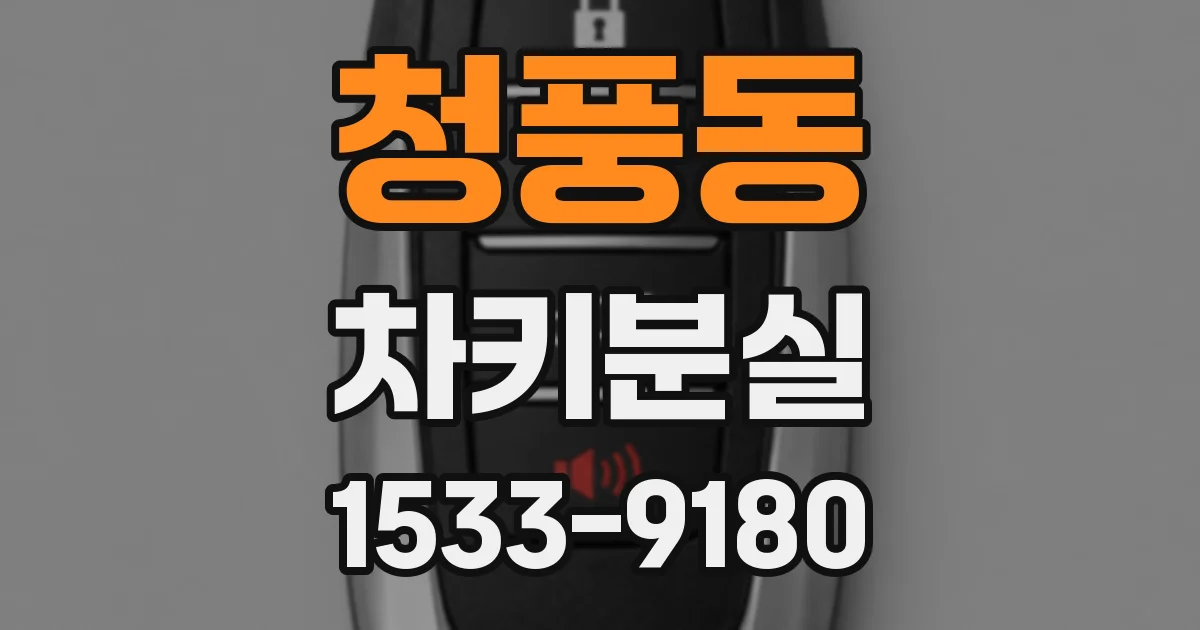 청풍동 차키분실