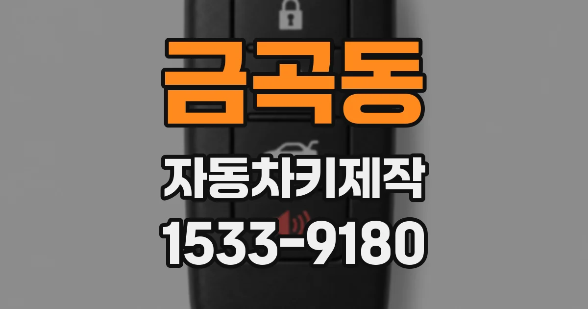 금곡동 자동차키제작