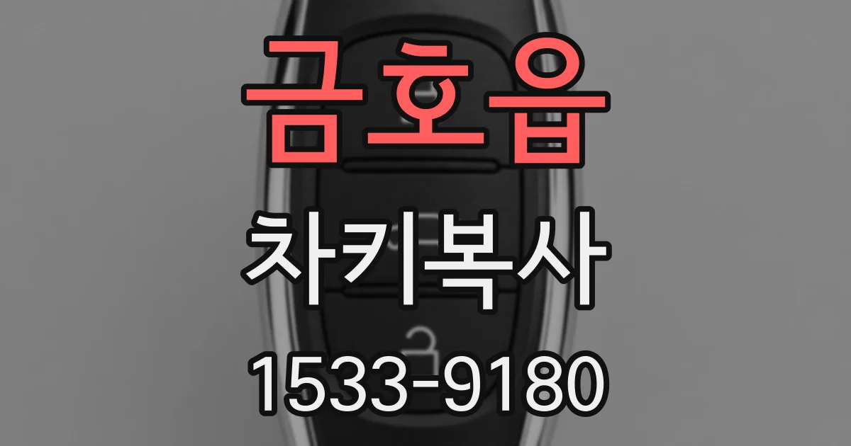 금호읍 차키복사