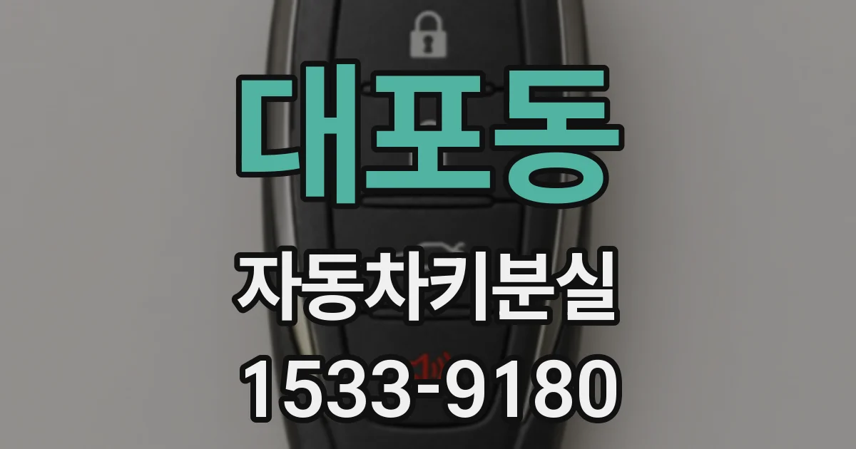 대포동 자동차키분실