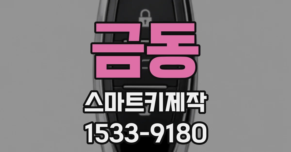 금동 스마트키제작
