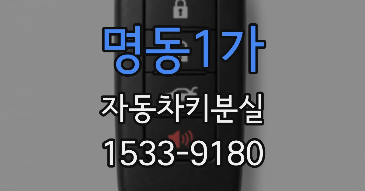 명동1가 자동차키분실