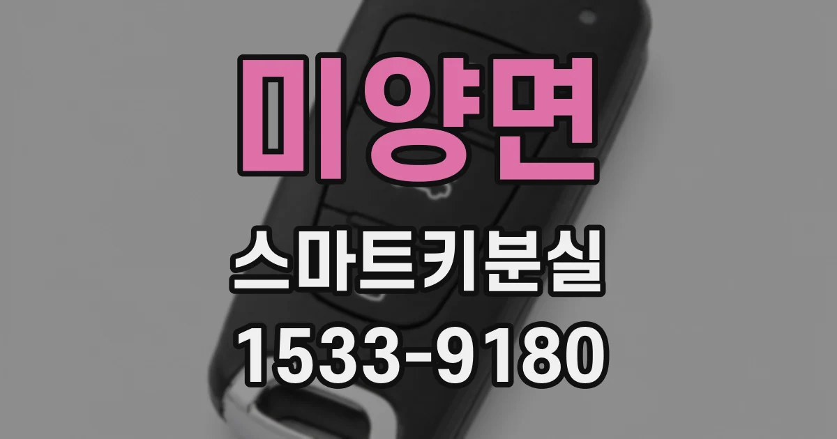 미양면 스마트키분실