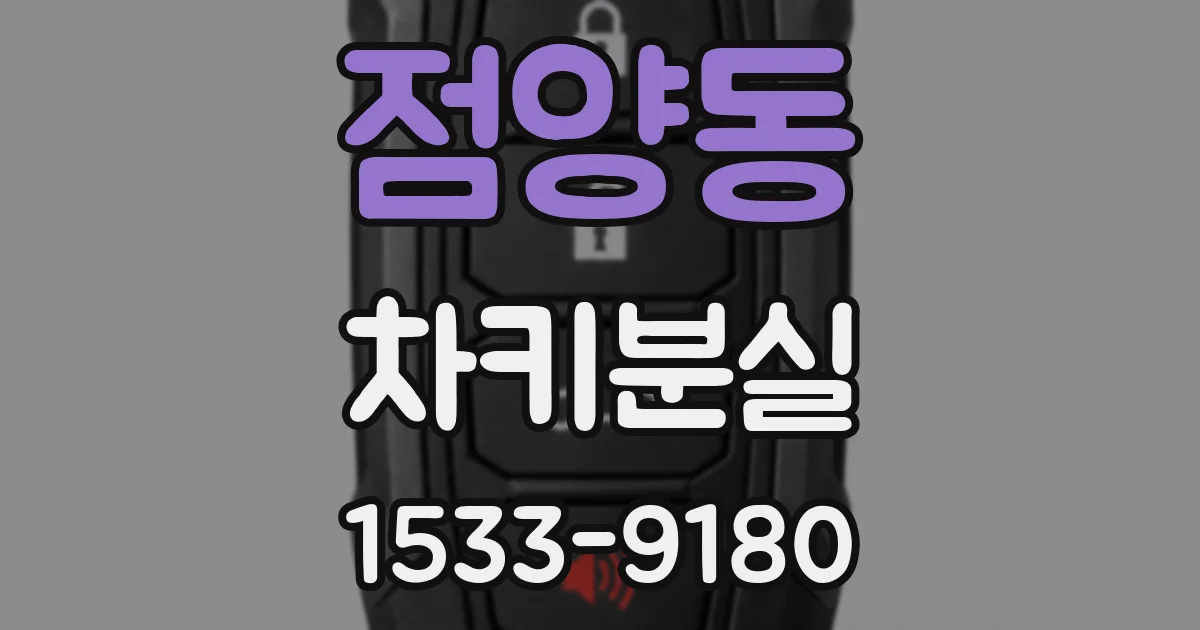 점양동 차키분실
