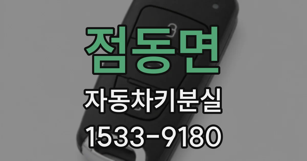 점동면 자동차키분실