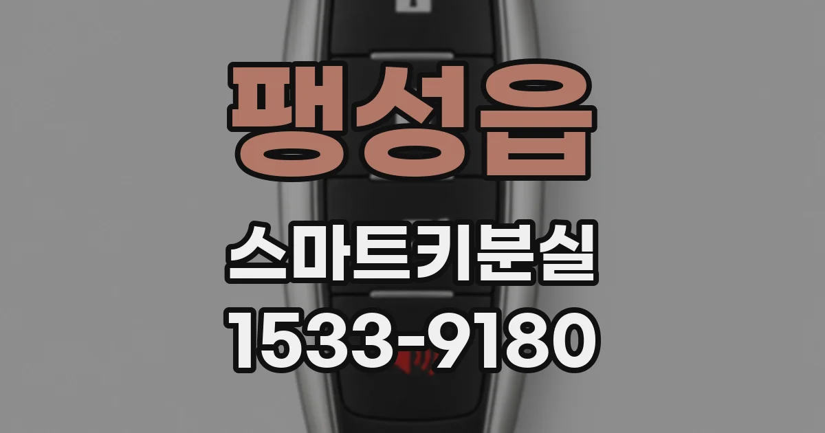 팽성읍 스마트키분실