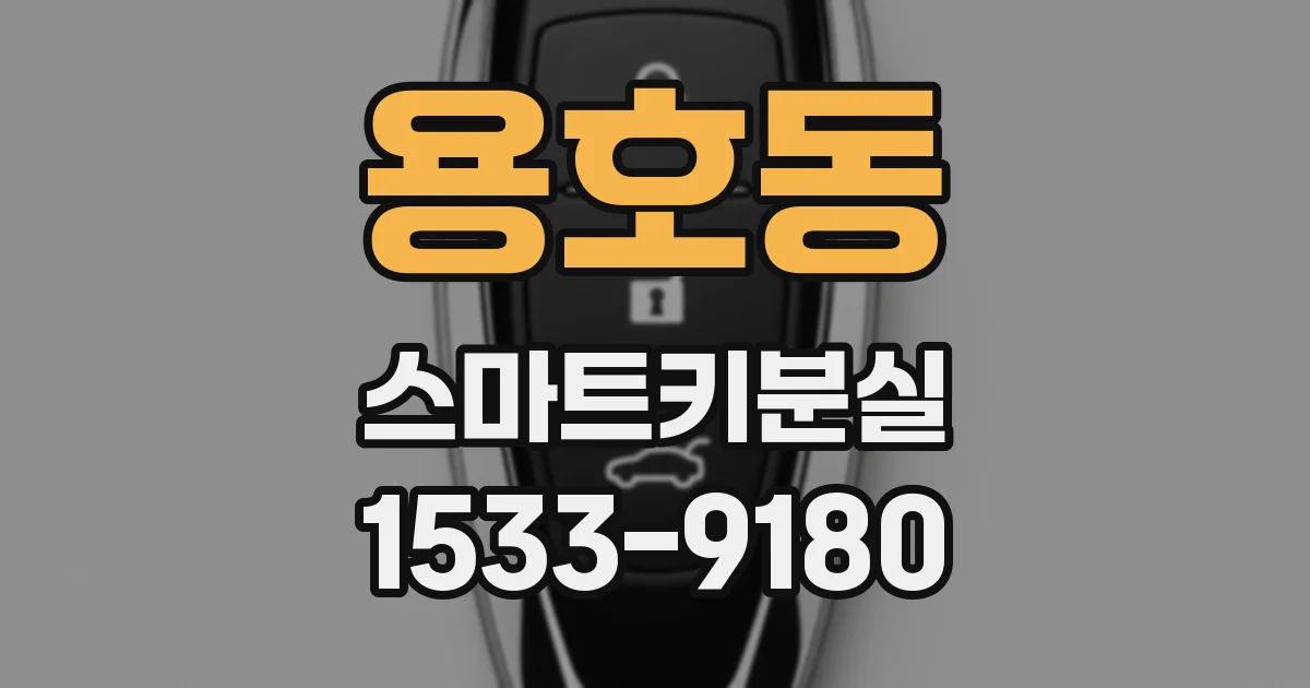 용호동 스마트키분실