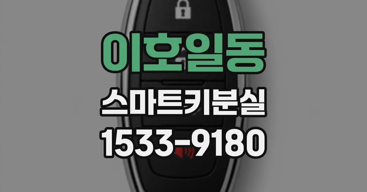 이호일동 스마트키분실