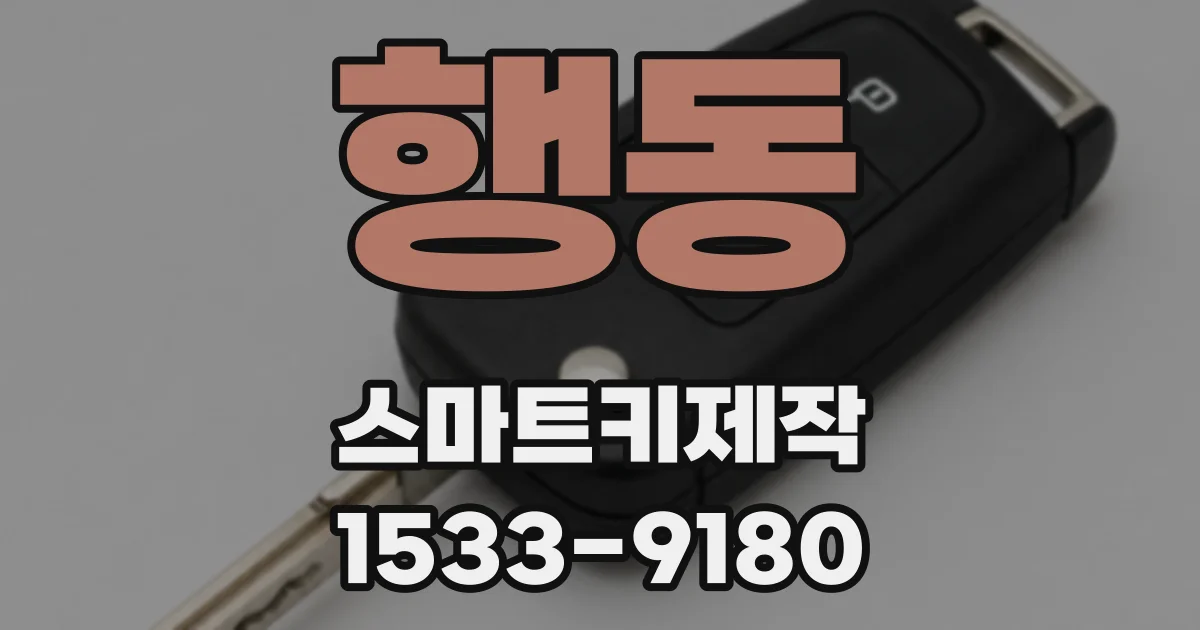 행동 스마트키제작