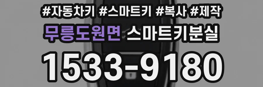 무릉도원면 스마트키분실