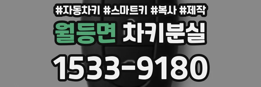 월등면 차키분실