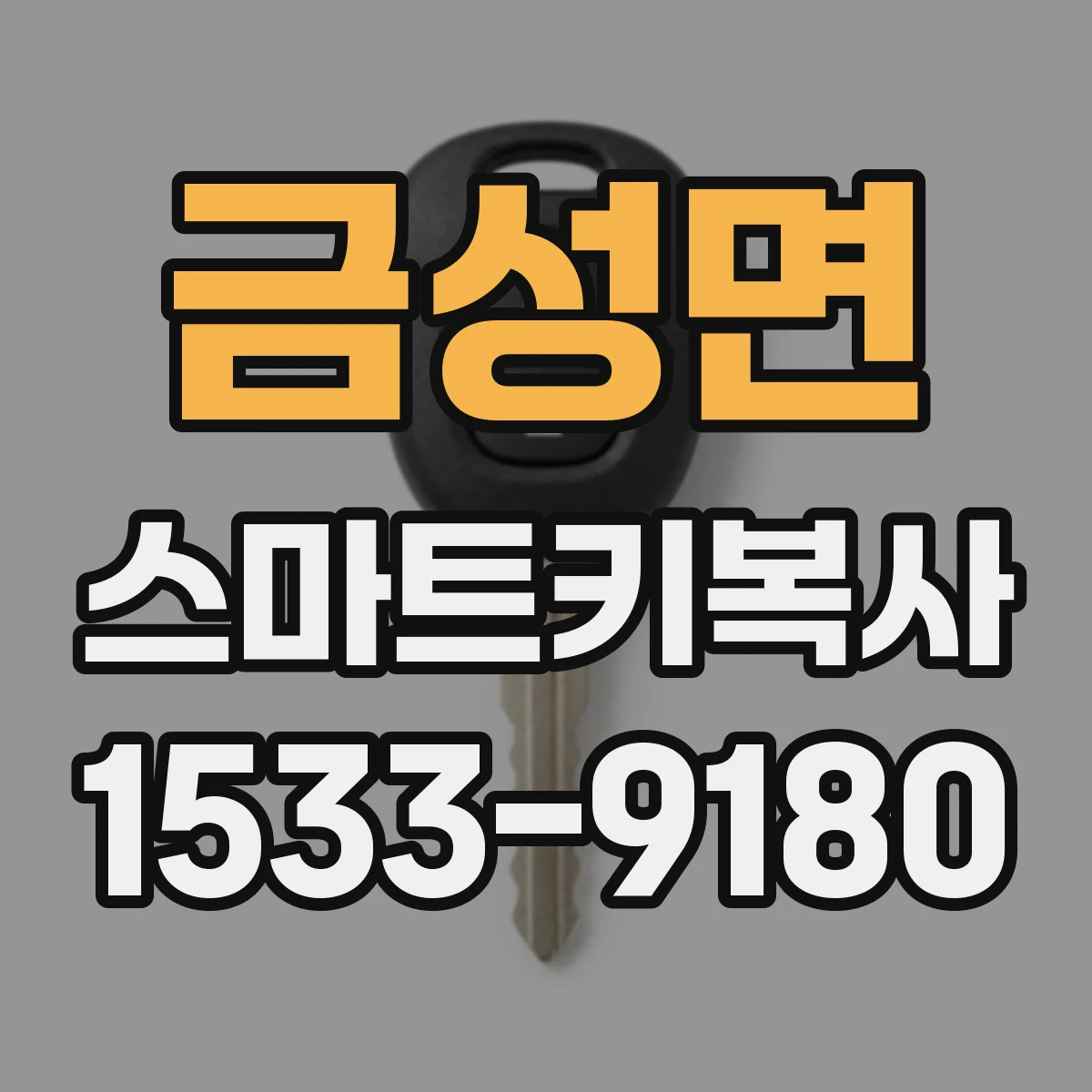 금성면 스마트키복사