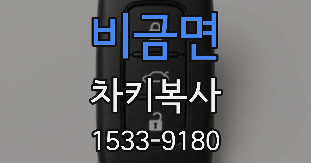 비금면 차키복사