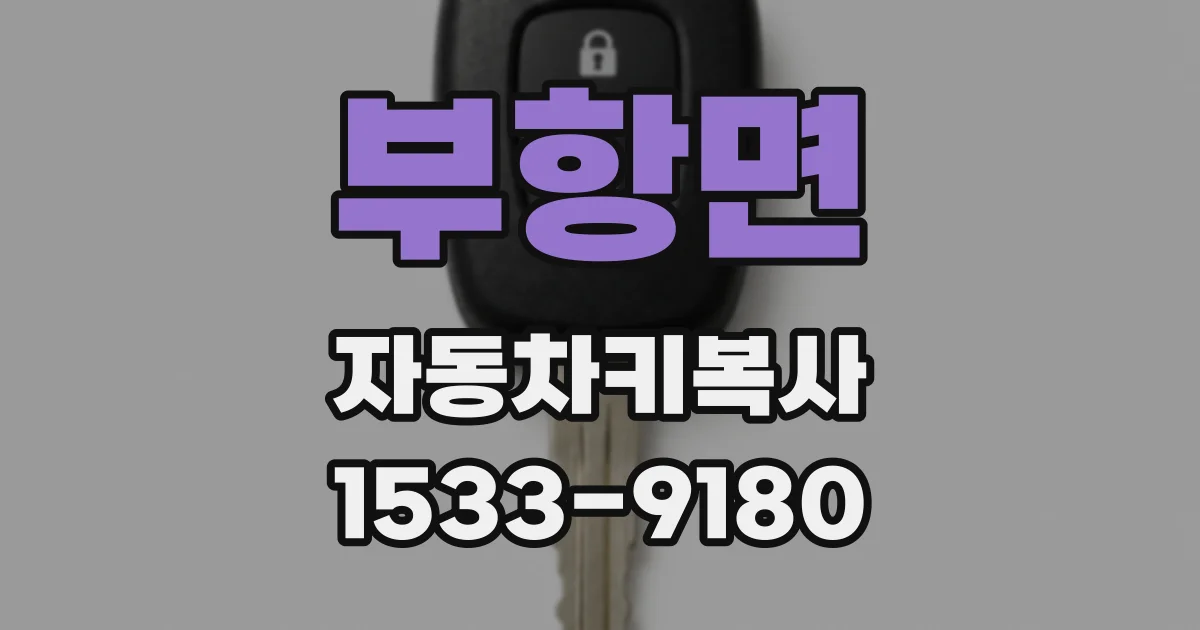 부항면 자동차키복사