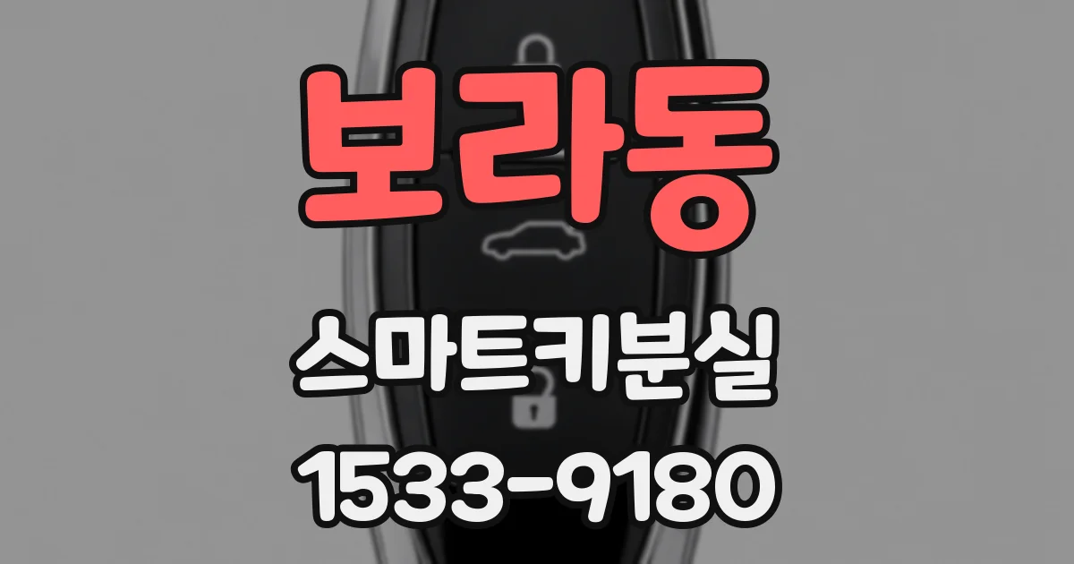 보라동 스마트키분실