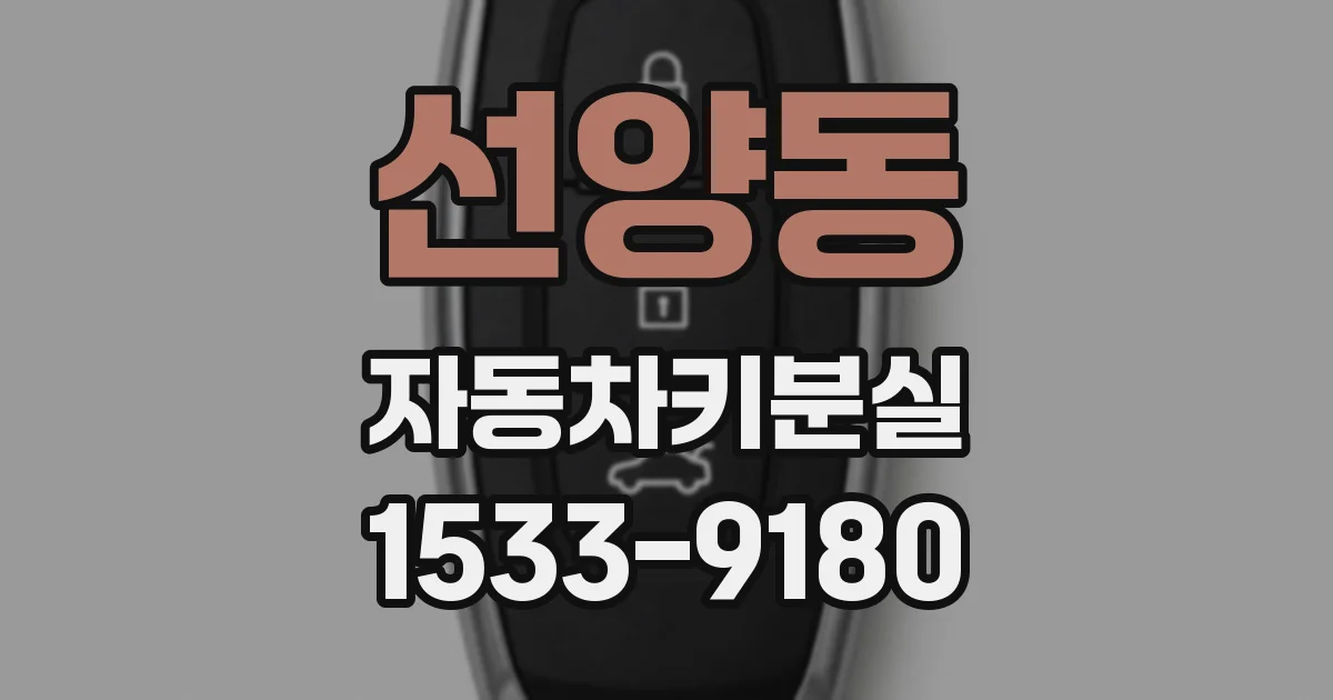 선양동 자동차키분실