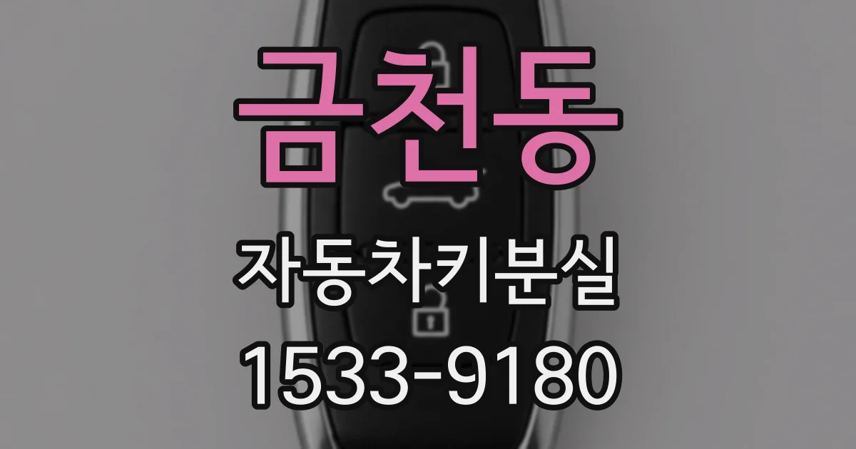 금천동 자동차키분실