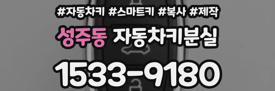 성주동 자동차키분실