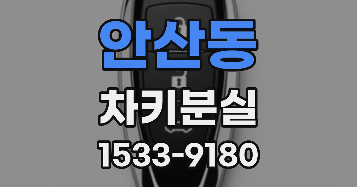 안산동 차키분실