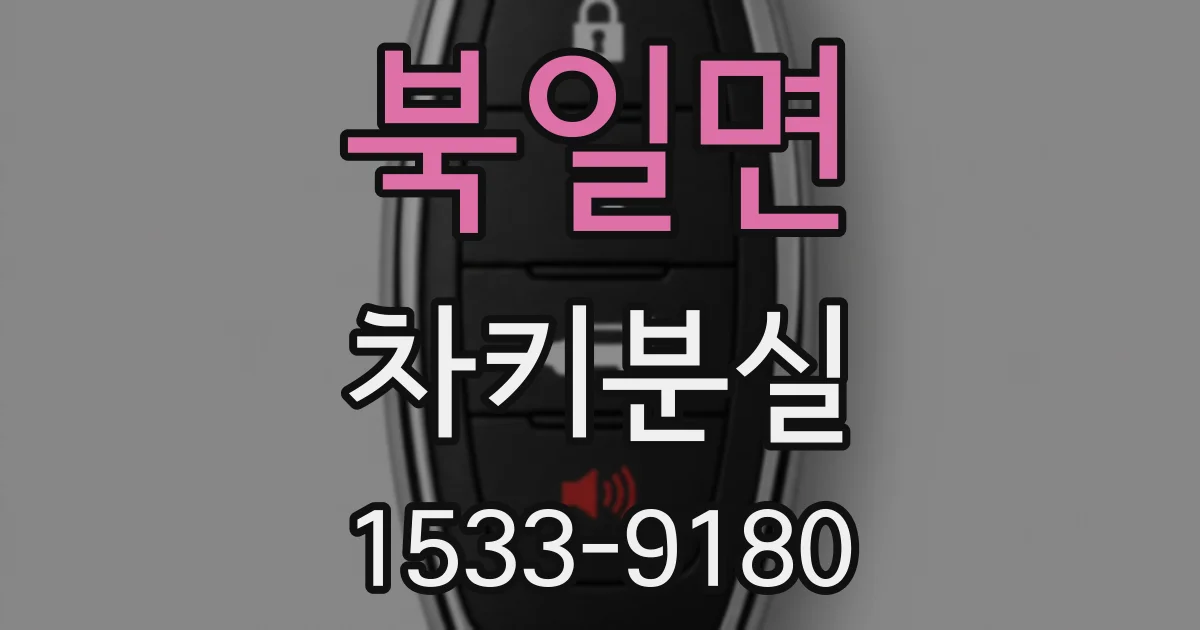 북일면 차키분실