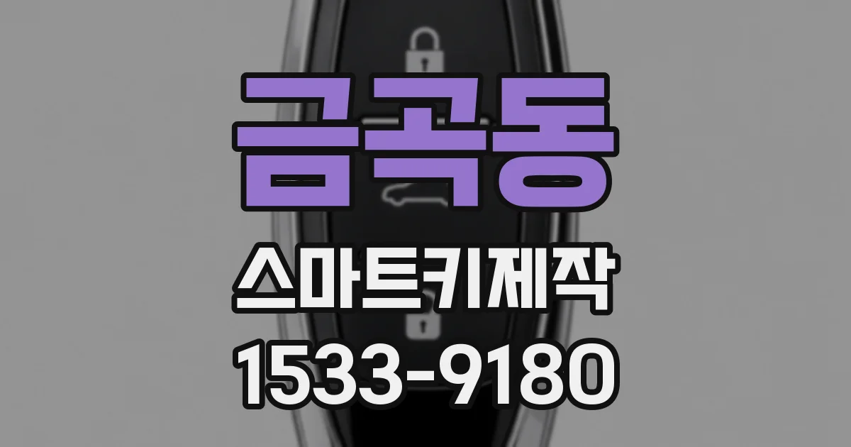 금곡동 스마트키제작