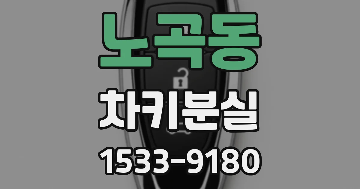 노곡동 차키분실