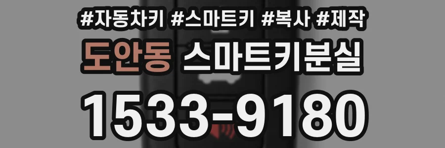 도안동 스마트키분실