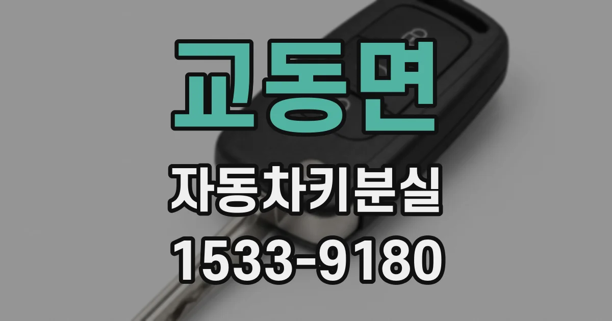 교동면 자동차키분실