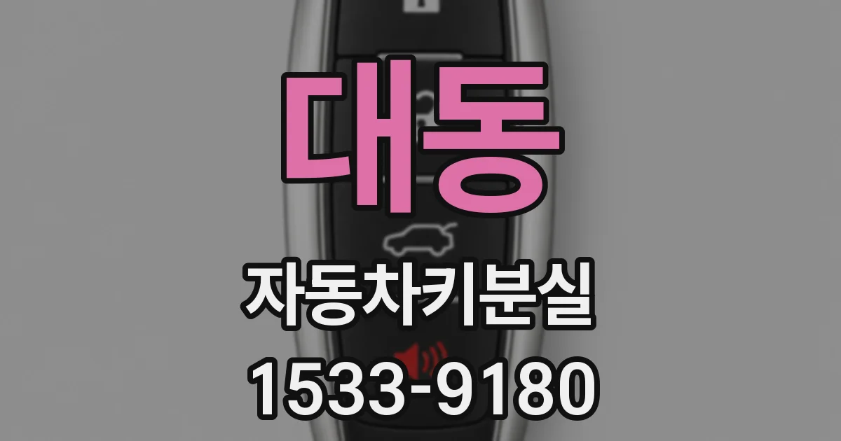 대동 자동차키분실
