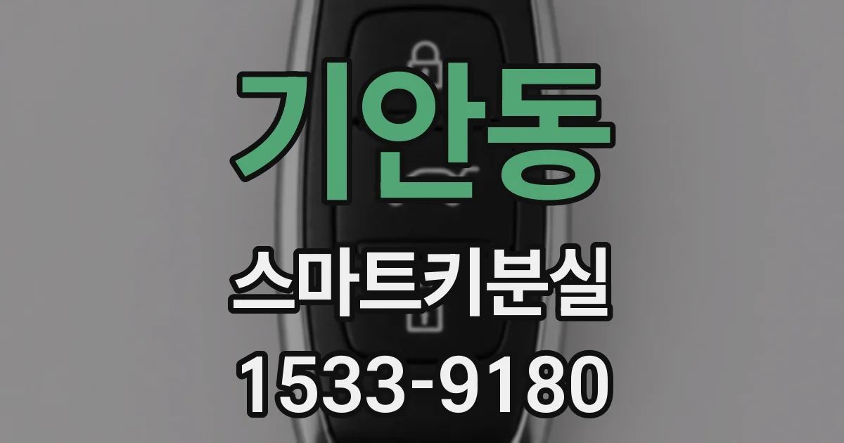 기안동 스마트키분실