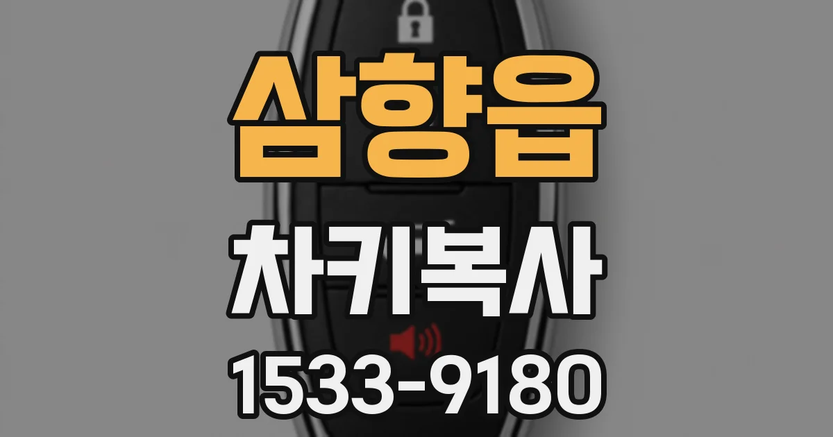 삼향읍 차키복사