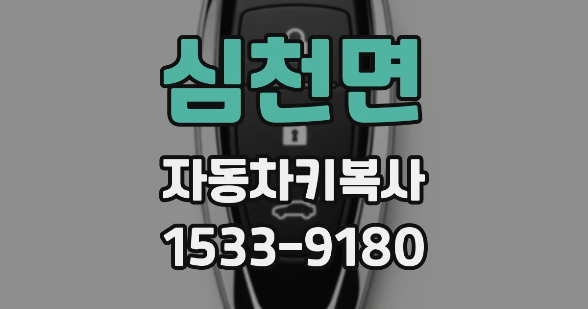 심천면 자동차키복사