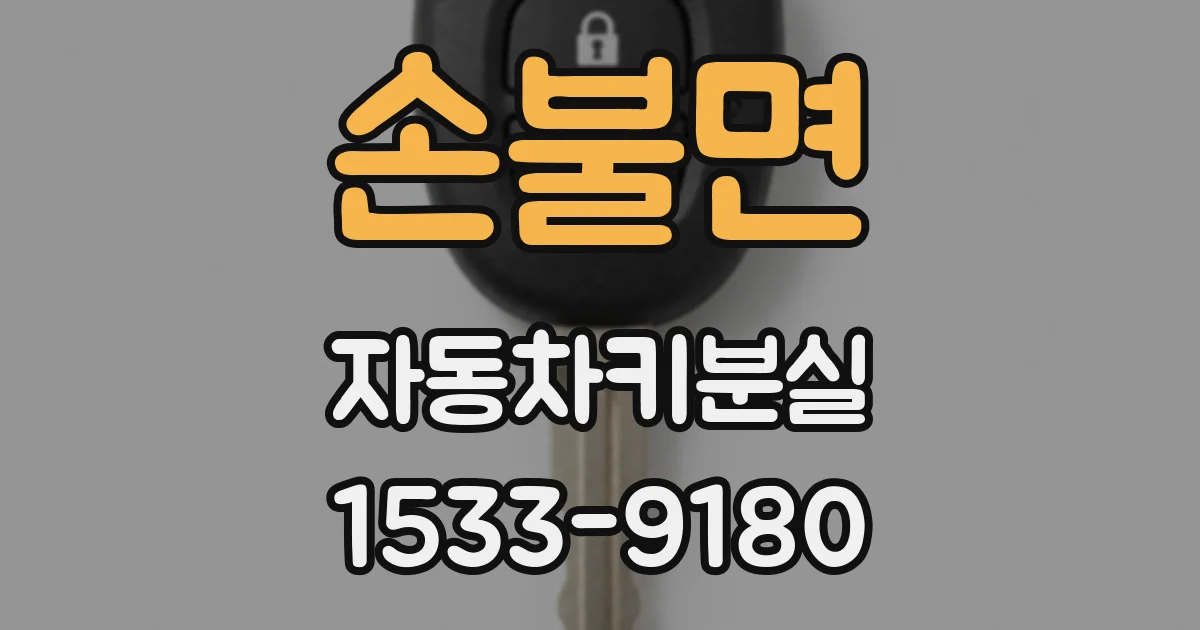 손불면 자동차키분실