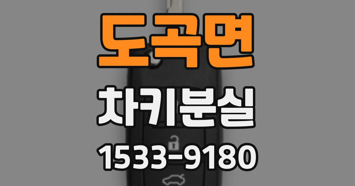 도곡면 차키분실