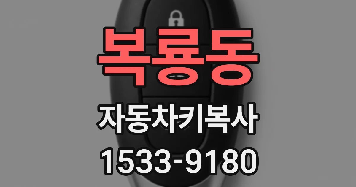 복룡동 자동차키복사