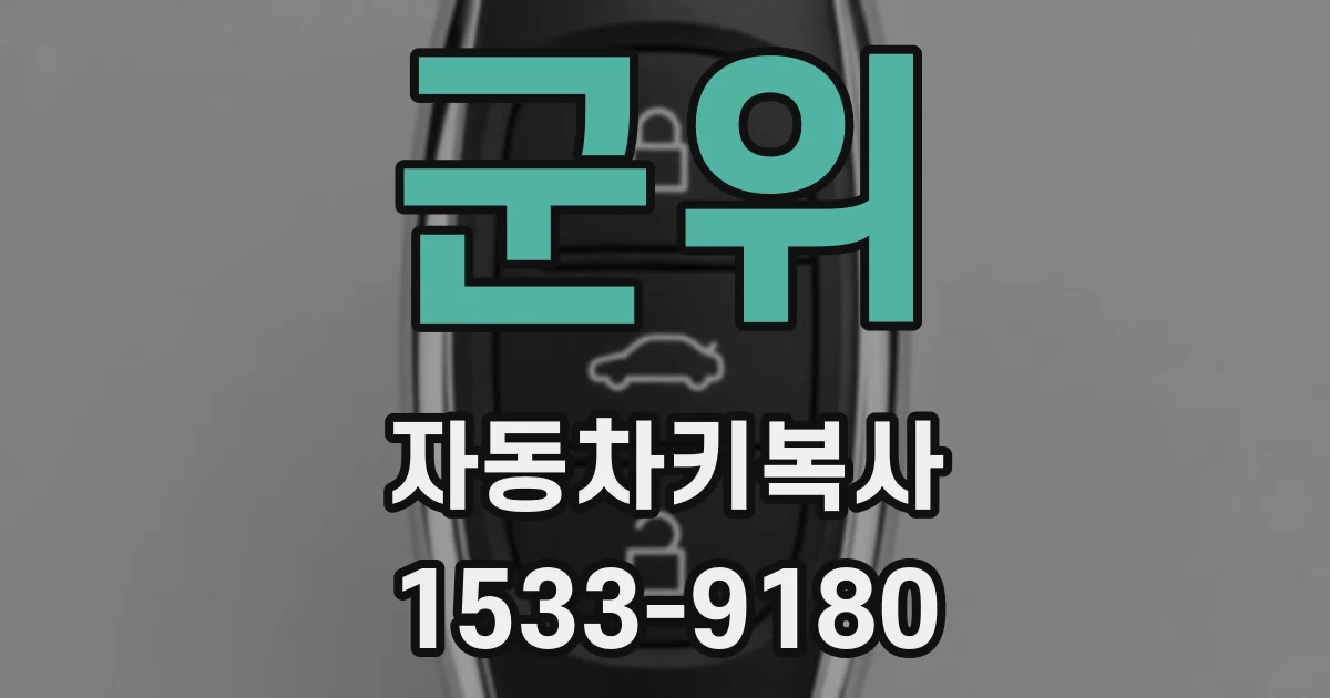 군위 자동차키복사