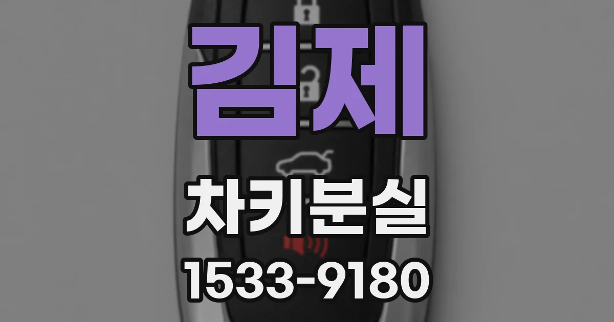 김제 차키분실