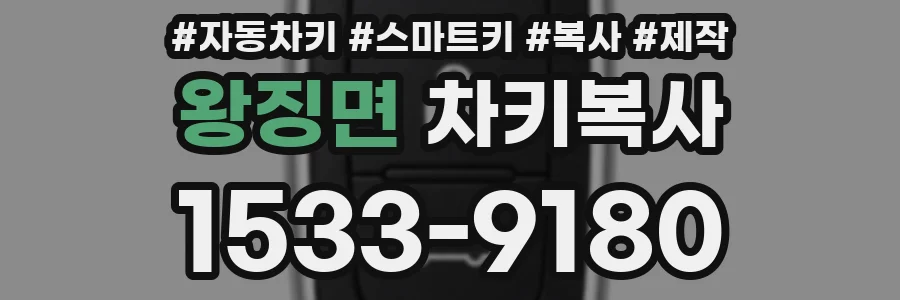 왕징면 차키복사