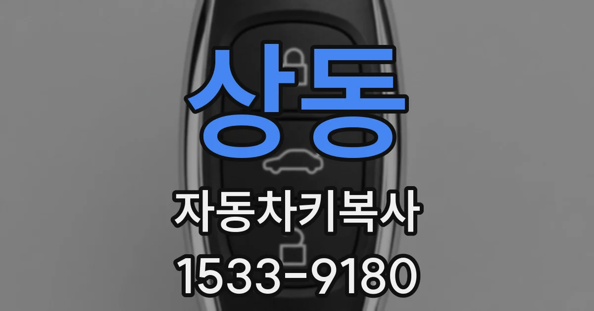 상동 자동차키복사