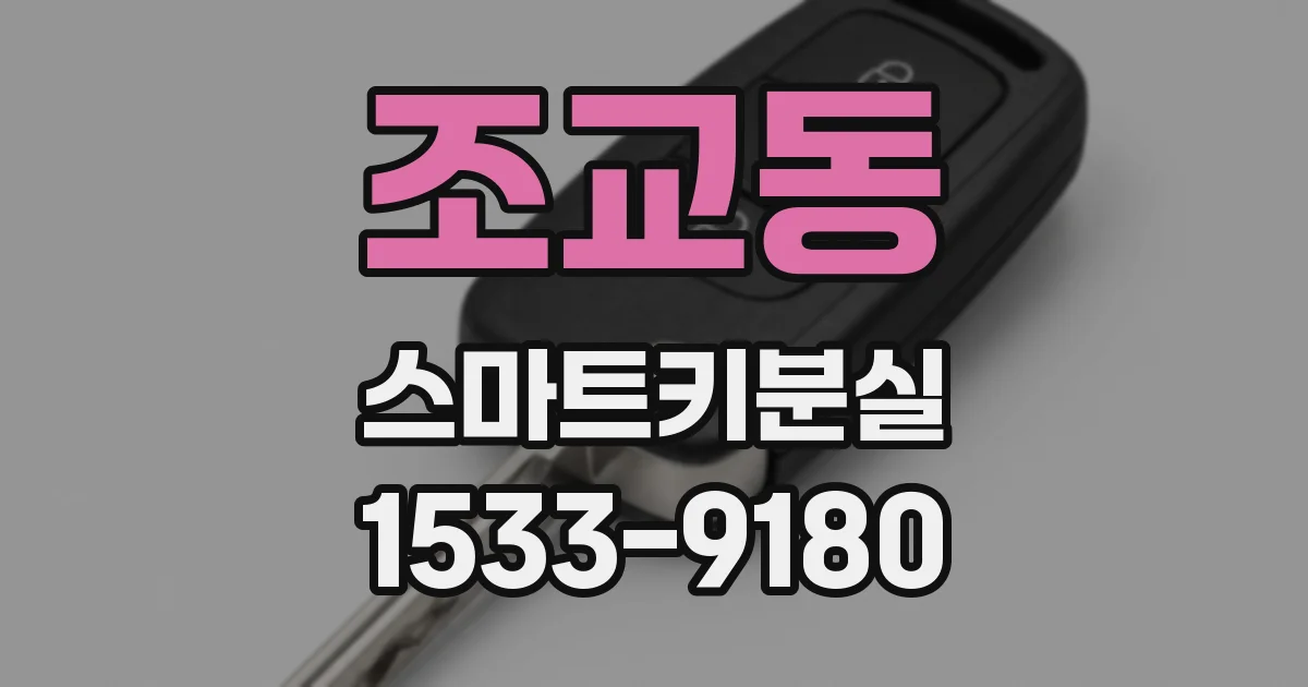 조교동 스마트키분실