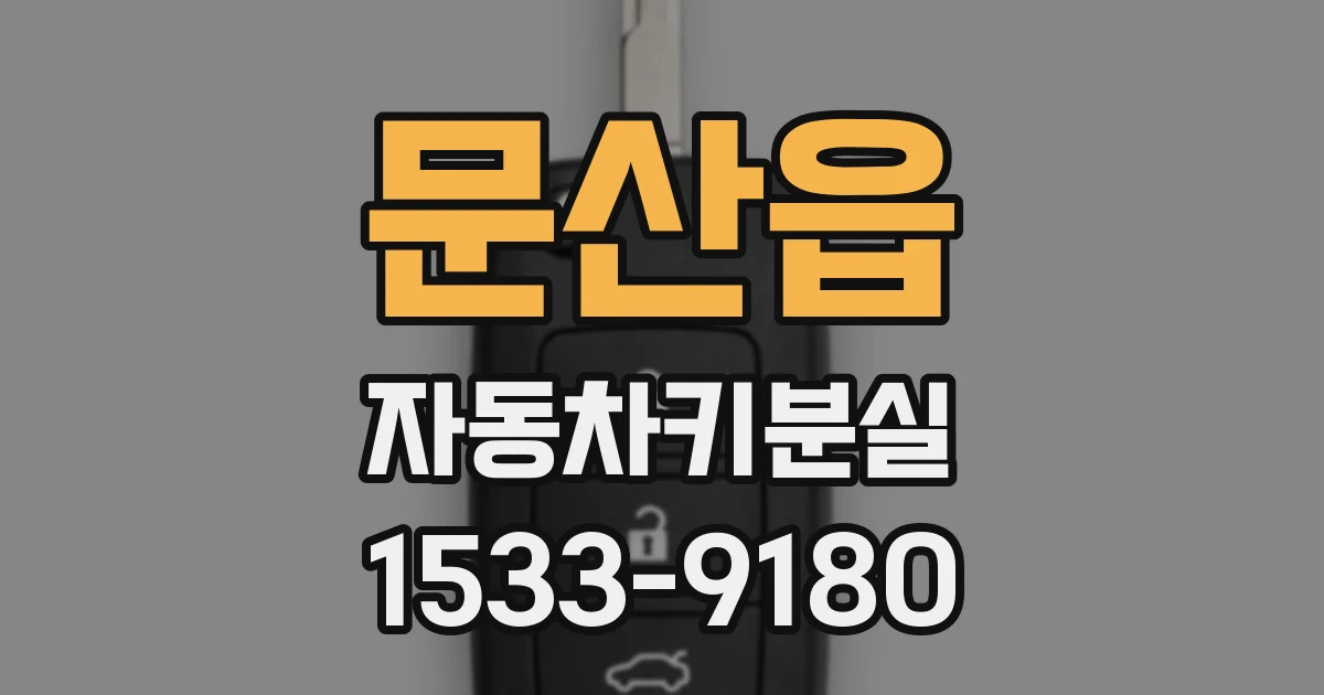 문산읍 자동차키분실