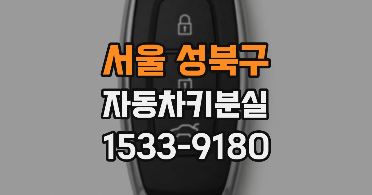 서울 성북구 자동차키분실